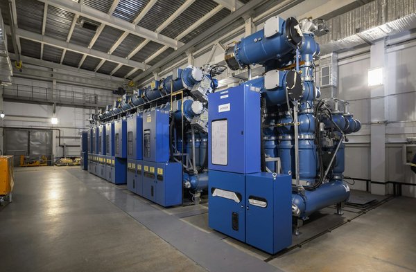 How to Successfully Integrate a Rescue Parrot with Your Existing Bird Flock